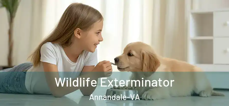  Wildlife Exterminator Annandale-VA