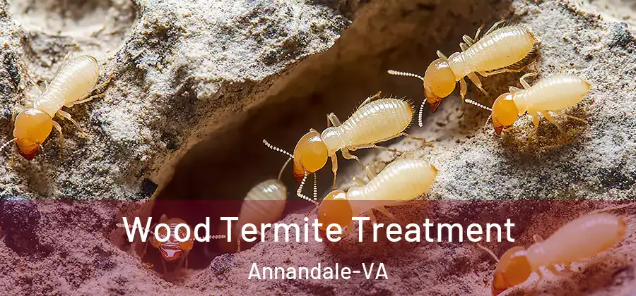  Wood Termite Treatment Annandale-VA