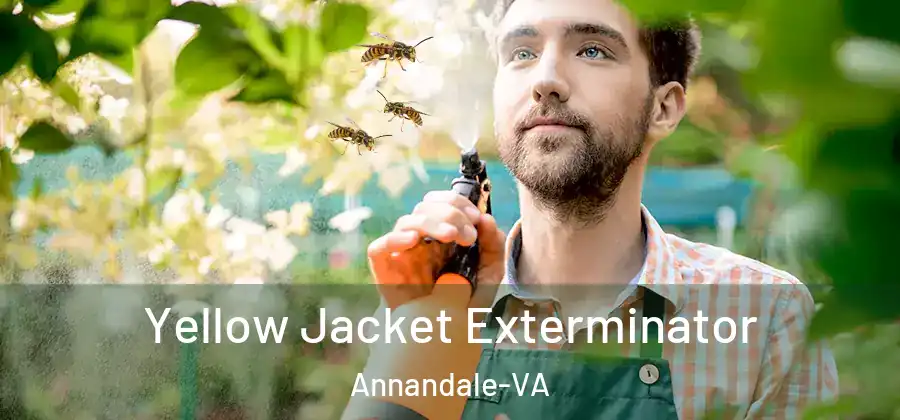  Yellow Jacket Exterminator Annandale-VA